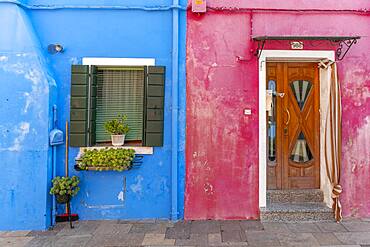 Door and window of a blue and pink house, colorful houses, colorful facade, Burano Island, Venice, Veneto, Italy, Europe