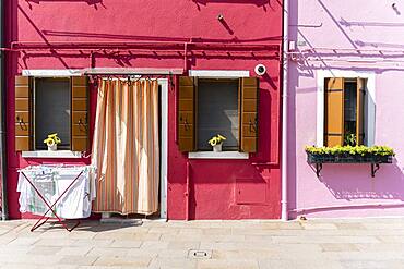 Colorful houses, colorful facade, Burano Island, Venice, Veneto, Italy, Europe