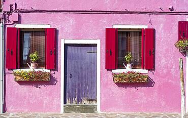 Pink house with windows and floral decorations, colorful facade, morbid, Burano island, Venice, Veneto, Italy, Europe