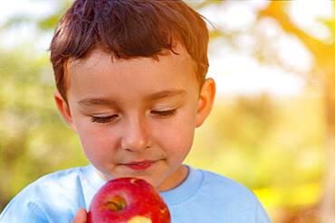 Child little boy eating apple fruit eating portrait outside spring, germany