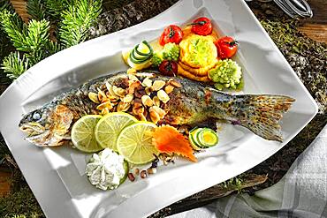 Trout with almonds, served on a white plate, Germany, Europe