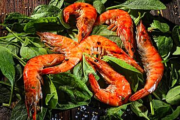 King prawns, tiger prawns on fresh spinach