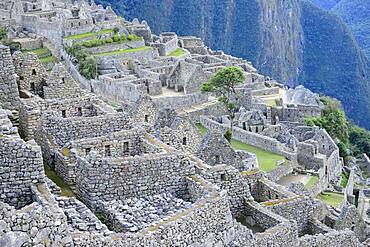 Inca ruined city at dawn, Machu Picchu, Urubamba province, Peru, South America