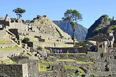 Inca ruined city, Machu Picchu, Urubamba Province, Peru, South America