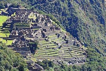 Inca ruined city, Machu Picchu, Urubamba Province, Peru, South America