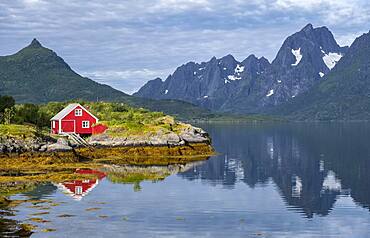 Red fishing hut on the shore, Rorbuer hut, Fjord Raftsund and mountains, Vesteralen, Norway, Europe