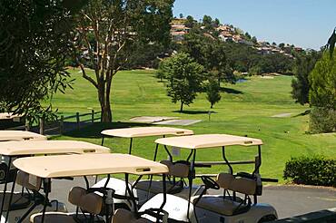 Golf carts waiting on the golf course