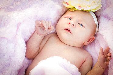 Beautiful newborn baby girl laying peacefully in soft pink blanket