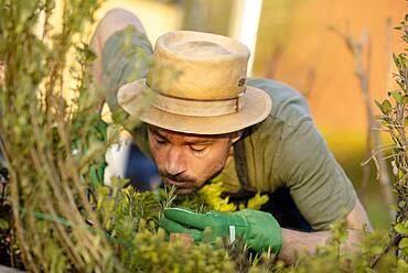 Gardener