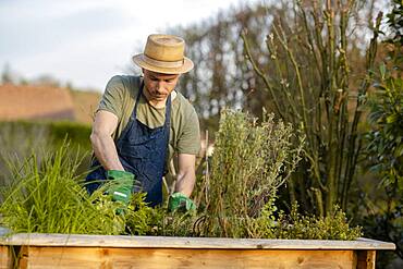 Gardener