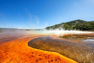 Steaming hot spring with colored mineral deposits, Grand Prismatic Spring, Midway Geyser Basin, Yellowstone National Park, Wyoming, USA, North America