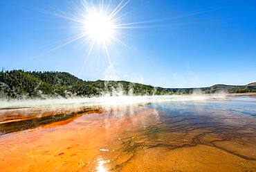 Steaming hot spring with sun star, Colored mineral deposits, Grand Prismatic Spring, Midway Geyser Basin, Yellowstone National Park, Wyoming, USA, North America