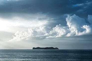 Island, Jackson Bay, Coromandel, North Island, New Zealand, Oceania