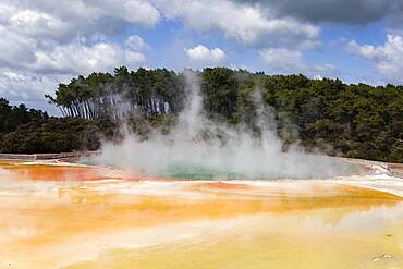 Geothermal area, Wai-O-Tapu, Rotorua, North Island, New Zealand, Oceania