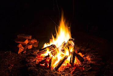 Campfire at night, logs in the background, Germany, Europe