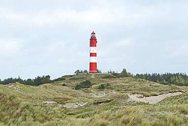 Lighthouse in dune landscape, fog, Amrum island, North Frisian Islands, Schleswig-Holstein, Germany, Europe