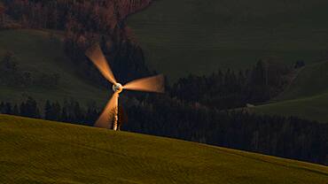 Windmill shines in the evening light, Mostviertel, Upper Austria, Austria, Europe