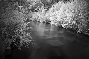 Infrared image, river Blau, Blaubeuren, Swabian Alb, Baden-Wuerttemberg, Germany, Europe