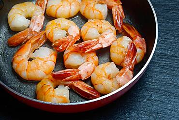 Fried prawns in pan, Germany, Europe