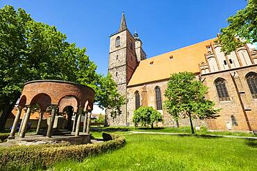 Soldier's memorial in front of the town church St. Nikolai, Jueterbog, Brandenburg, Germany, Europe