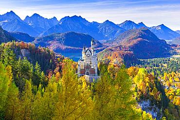 Neuschwanstein Castle in autumn, near Schwangau, Ostallgaeu, Allgaeu, Swabia, Bavaria, Germany, Europe