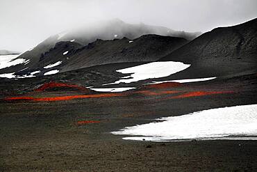 Crater with snowfields, volcano Askja, highlands, central Iceland, Iceland, Europe