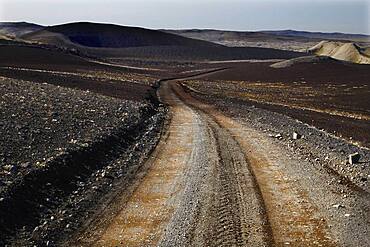 Slope, Track, Lava landscape, Laki fissure, Highland, Iceland, Europe