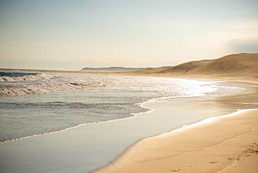 Waves crashing into coast with sand dunes in background, Port Elizabeth, South Africa, Africa