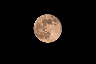 Full moon, North Rhine-Westphalia, Germany, Europe