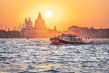 Vaporetto, water bus driving on the lagoon of Venice, evening mood, Basilica Santa Maria della Salute, Venice, Veneto, Italy, Europe