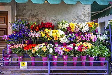 Stand selling flowers, cut flowers and bouquets, Venice, Veneto, Italy, Europe