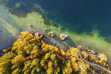 Aerial view, lake and autumn trees from above, Hintersee, Berchtesgaden, Bavaria, Germany, Europe