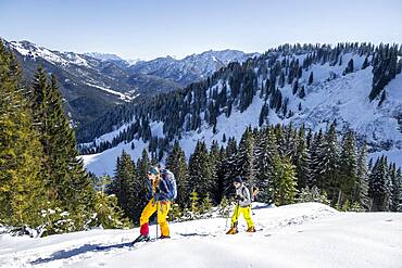 Ski tourers, young woman and man on ski tour to Rosskopf, Mangfall Mountains, Bavarian Prealps, Upper Bavaria, Bavaria, Germany, Europe