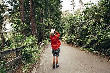 Guy with camera, Redwoods Forest, Whakarewarewa, North Island, New Zealand, Oceania