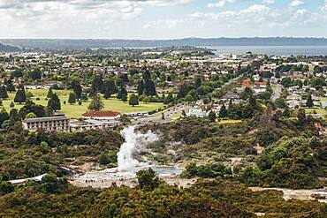 Geothermal area, Redwoods Forest, Whakarewarewa, Rotorua, North Island, New Zealand, Oceania