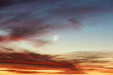 Moon at sunset at Lake Taupo, Waikato, North Island, New Zealand, Oceania