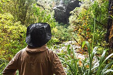 Guy at Oparara Basin, Kahurangi National Park, Nelson/Tasman, South Island, New Zealand, Oceania