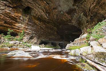 Guy at Oparara Basin, Kahurangi National Park, Nelson/Tasman, South Island, New Zealand, Oceania