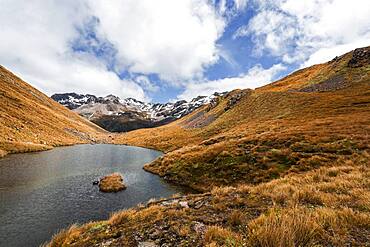 Landscape, Arthur's Pass, Selwyn, Canterbury, South Island, New Zealand, Oceania