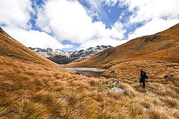 Hiker at Arthur's Pass, Selwyn, Canterbury, South Island, New Zealand, Oceania