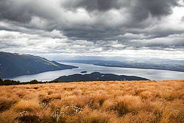 Landscape, Lake Te Anau, South West New Zealand World Heritage Area, Te Wahipounamu, Fiordland National Park, South Island, New Zealand, Oceania