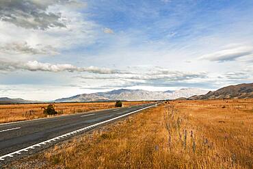 Highway, Omarama, Waitaki District, Canterbury, South Island, New Zealand, Oceania