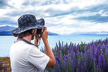 Guy with camera at a field of lupins (disambiguation), Lake Tekapo, Canterbury region, Mackenzie District, South Island, New Zealand, Oceania