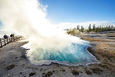 Steaming hot spring with turquoise water in the morning sun, Black Pool, West Thumb Geyser Basin, Yellowstone National Park, Wyoming, USA, North America