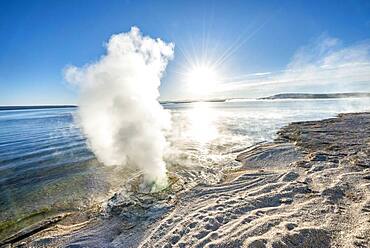 Steaming fumarole at the lake with morning sun, Lakeshore Geyser, West Thumb Geyser Basin, Yellowstone Lake, Yellowstone National Park, Wyoming, USA, North America