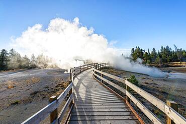 Boardwalk between steaming hot springs, morning sun, West Thumb Geyser Basin, Yellowstone National Park, Wyoming, USA, North America