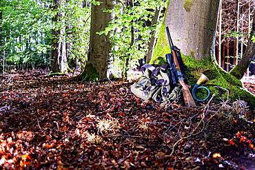 Hunting rifle in forest, Germany, Europe