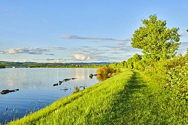 Wanderweg neben der Donau im Fruehling am Abend bei Kiefenholz, Vorderer Bayerischer Wald, Oberpfalz, Bayern, Deutschland