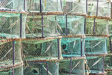 Pattern made of green traps used in Portugal to catch octopus and crabs