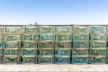 A lot of green traps used in Portugal to catch octopus and crabs